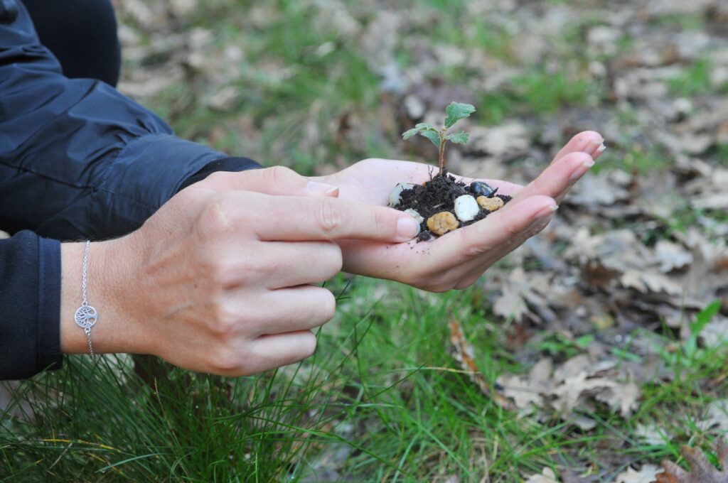 Une personne qui montre de la terre lors d'un shinrin yoku à Hostens, dans une forêt certifiée