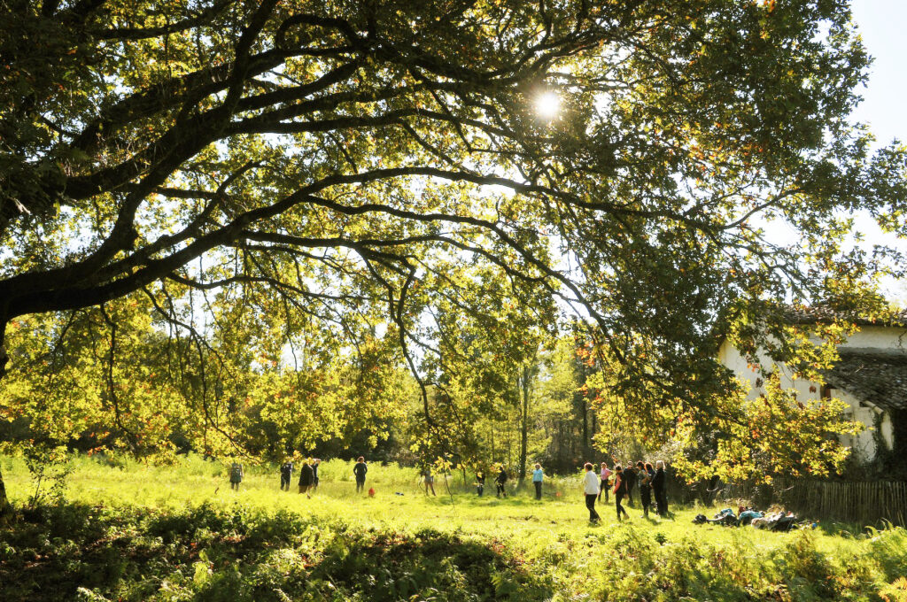 Personnes qui font un shinrin yoku en Gironde, dans une forêt certifiée